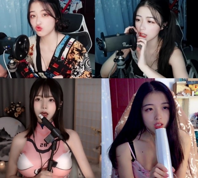 斗鱼主播渔子溪定制ASMR女仆哄睡口腔耳语恶龙咆哮等9部追档[2.54G]插图